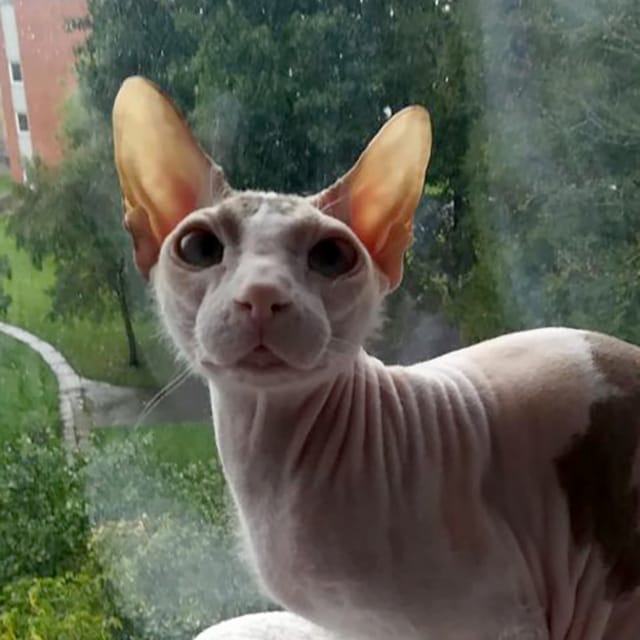 Client reference photo 12