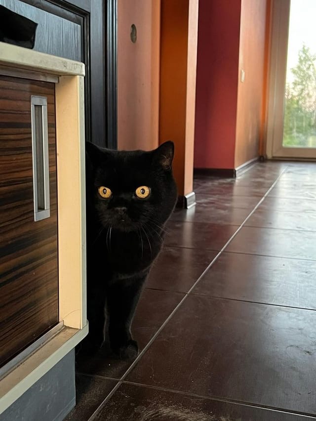 Client reference photo 13