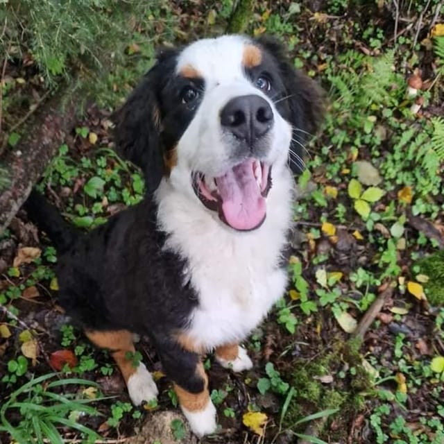 Client reference photo 2