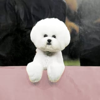 Client reference photo 3