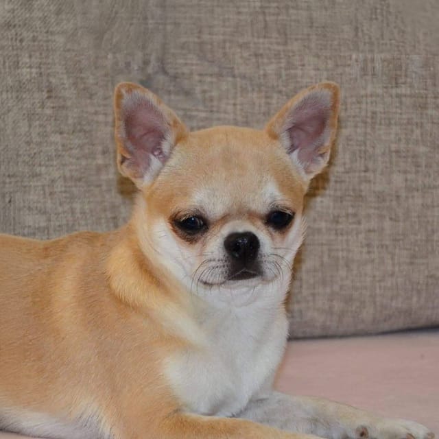 Client reference photo 4