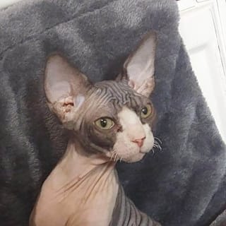 Client reference photo 5