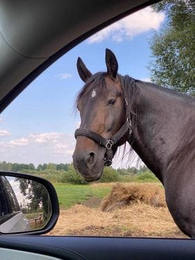 Client reference photo 7