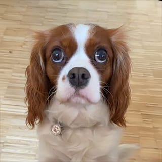 Client reference photo 9