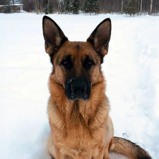 Client reference photo 10